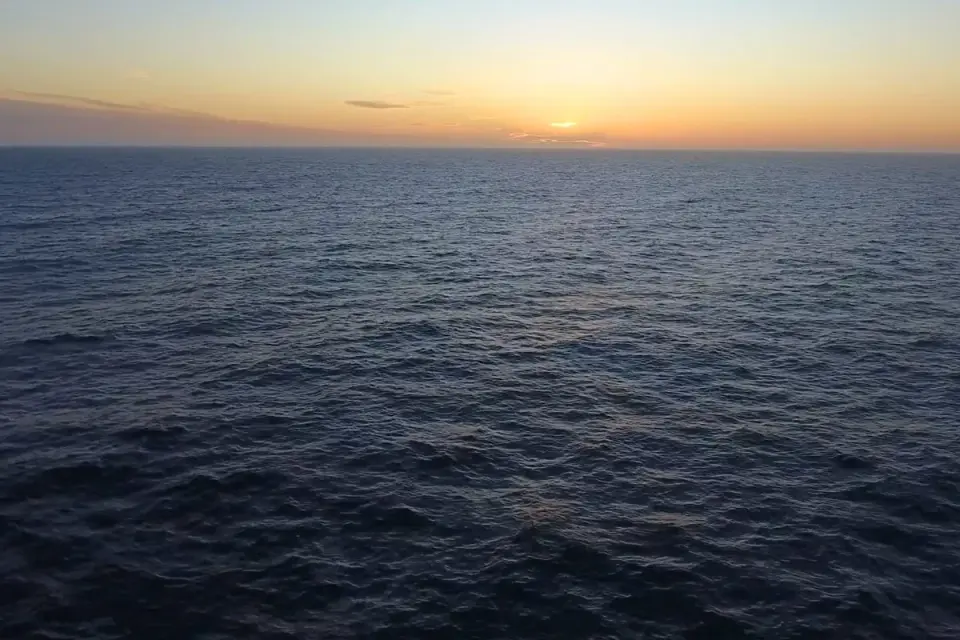 DNA traces reveal giant squid and hidden life in WA's deep-sea canyons