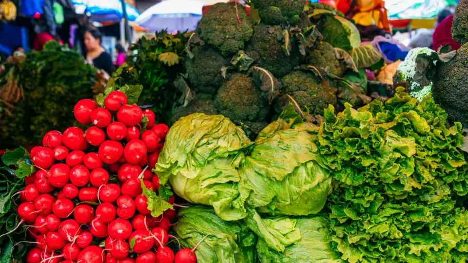 Cyclospora outbreak nears 16,000 cases, driven by lettuce-linked cluster