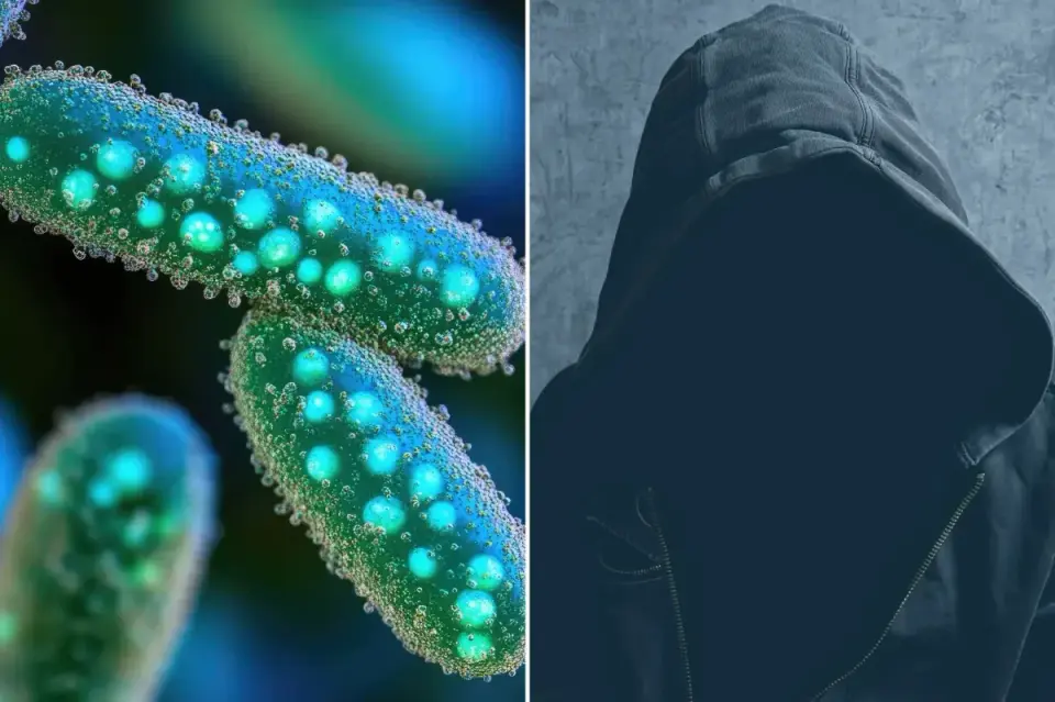 Porto-led study links gut microbes to psychopathic traits