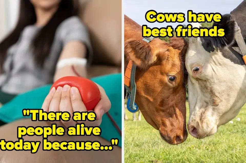 Brighten Your Day with 22 Real-Life Wonders