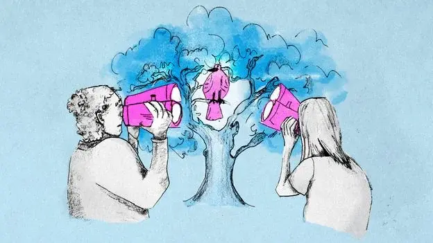 Birdwatching Reshapes Brain Structure and Slows Cognitive Decline