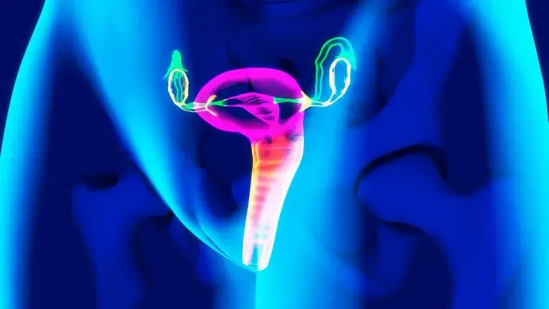 New Hypothesis Links Female Reproduction to Longevity via Ovarial Signaling