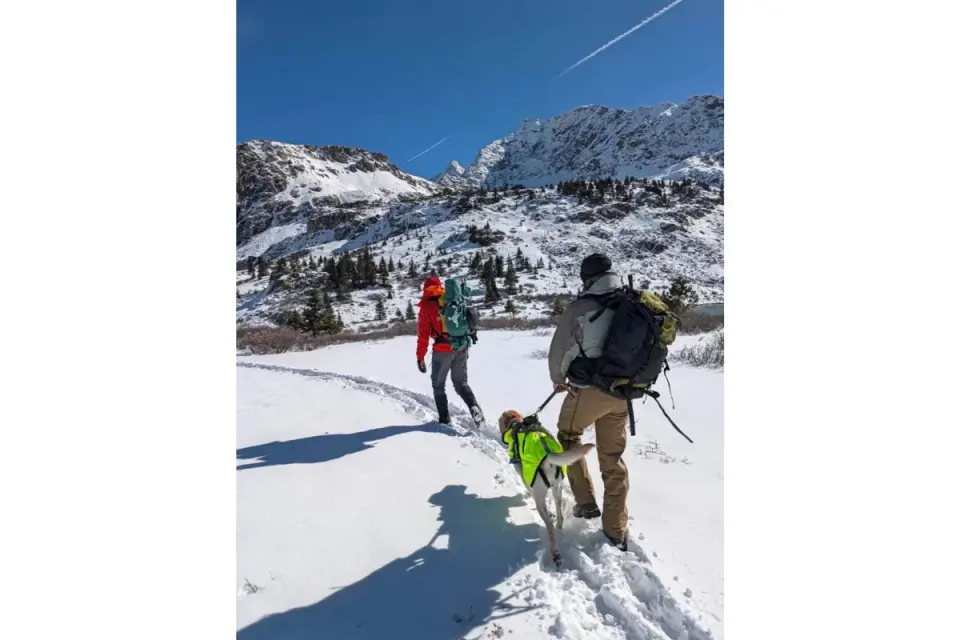 Colorado Mountain College students found dead in Chaffee County after weekend hike
