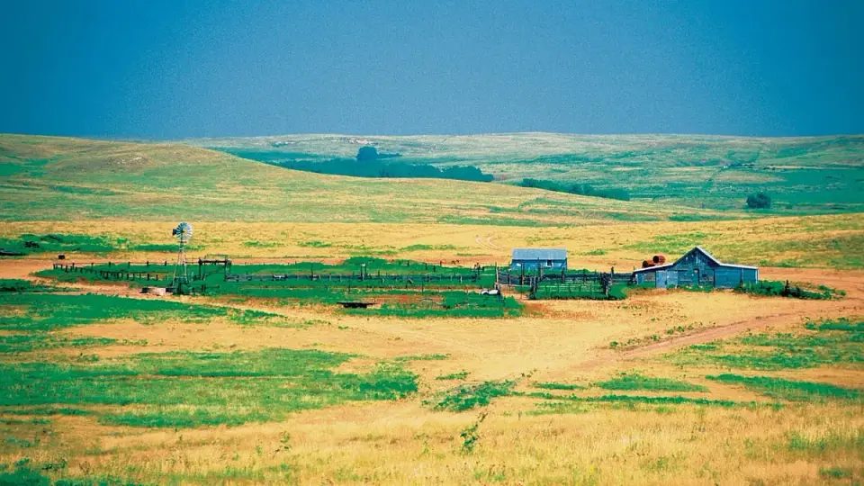 Kansas Farmers' Economic Pain Drives GOP Governor to Back Democrat in Senate Race