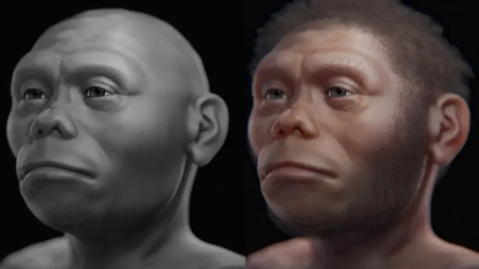 Hobbit-Sized Hominins Likely Scavengers Amid Komodo Dragons on Flores