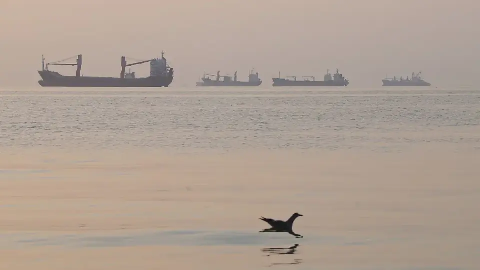 Diplomatic push to Tehran triggers 6% oil drop despite ongoing Houthi strikes