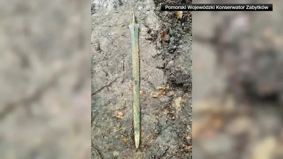 Ancient Bronze Sword Unearthed in Polish Forest by Hobbyist