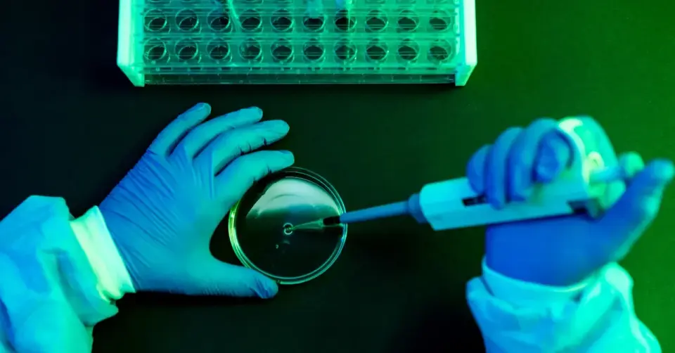France Confirms First Human Death from Shamonda Virus in Immunocompromised Patient