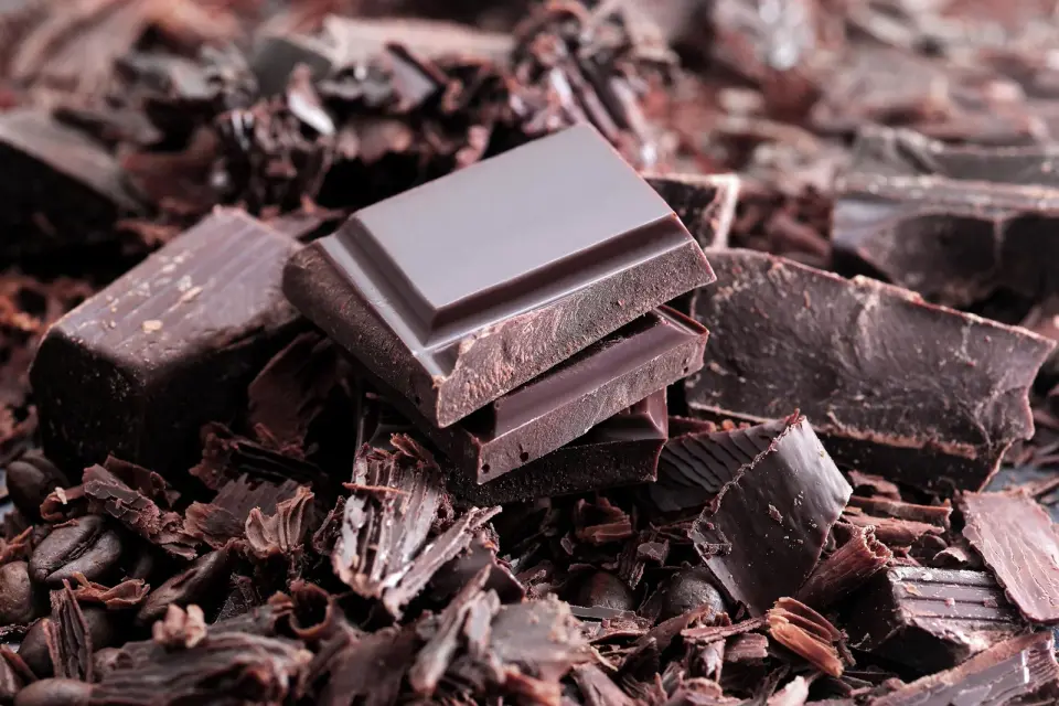 Amazonian Cocoa Poised for Superfood Status Through Fermentation and Blends