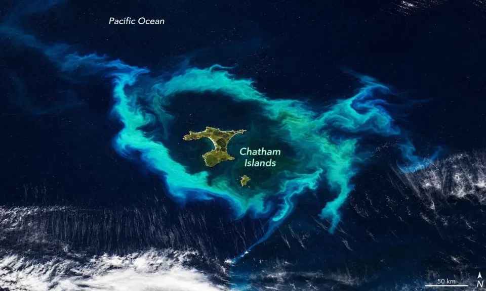 Turquoise halo around the Chatham Islands reveals a phytoplankton bloom shaped by an underwater plateau