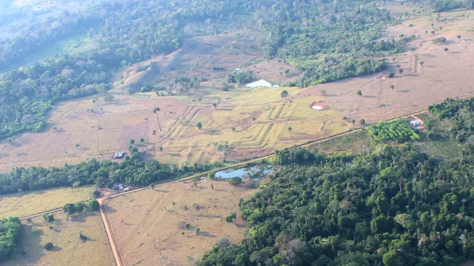 Laser mapping reveals hundreds of Amazon geoglyphs built by the Aquiry civilization