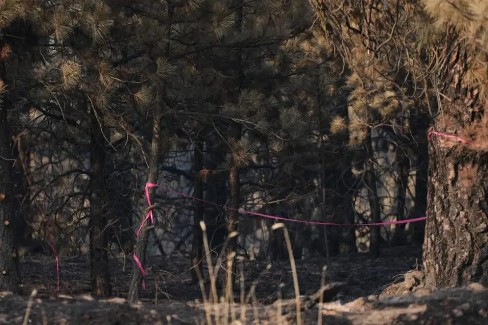 Weeks-long plan behind Spokane wildfire leads to arson charge