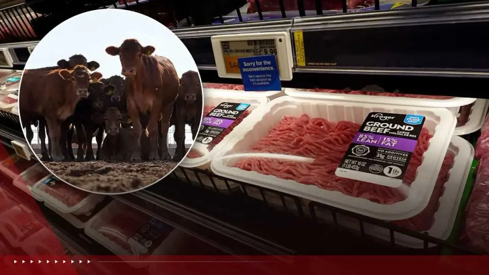 Border reopening for Mexican cattle unlikely to quickly ease U.S. beef prices