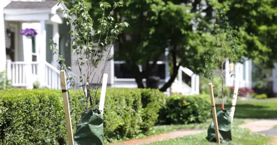 Fairport Tops New York's Hottest Housing Market, Spotlighting Rochester's 14450 ZIP