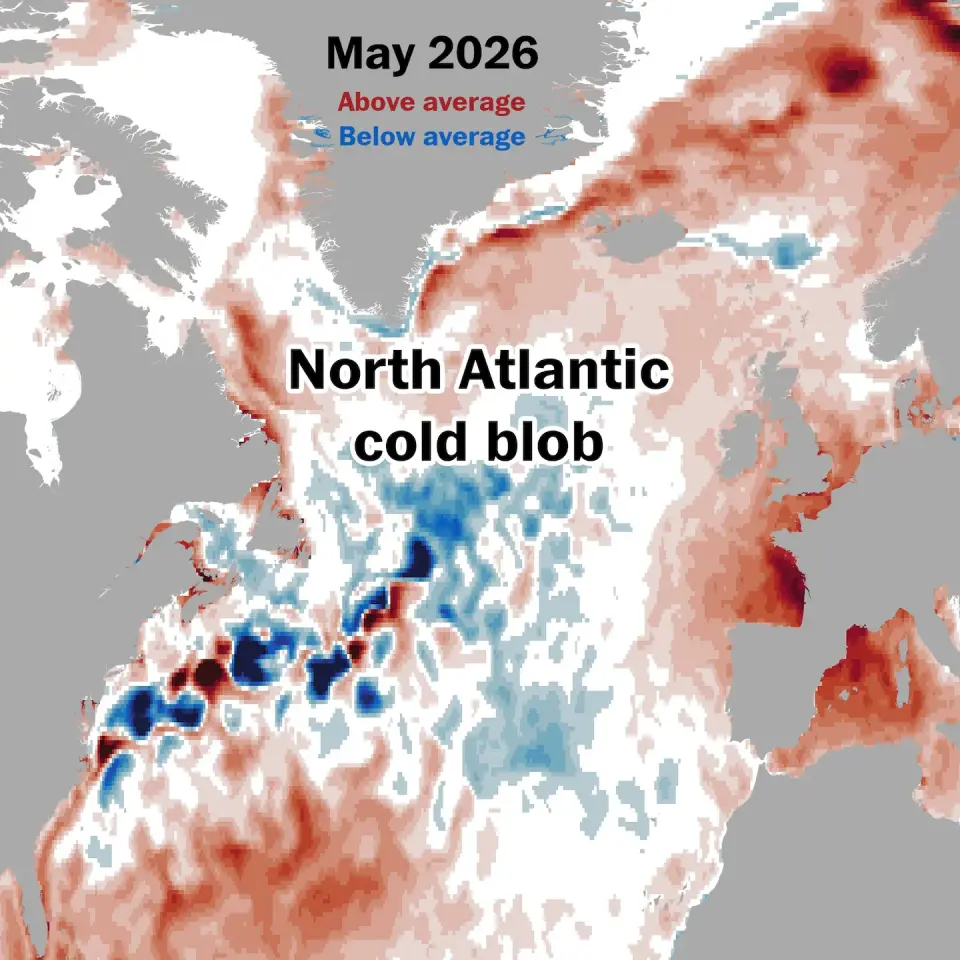 Cold North Atlantic Blob Signals Possible Shifts in Ocean Circulation
