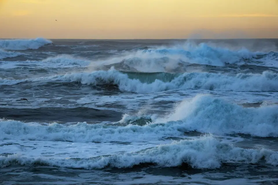 Marin County: Two Men Found Dead in Tomales Bay After Canoe Trip