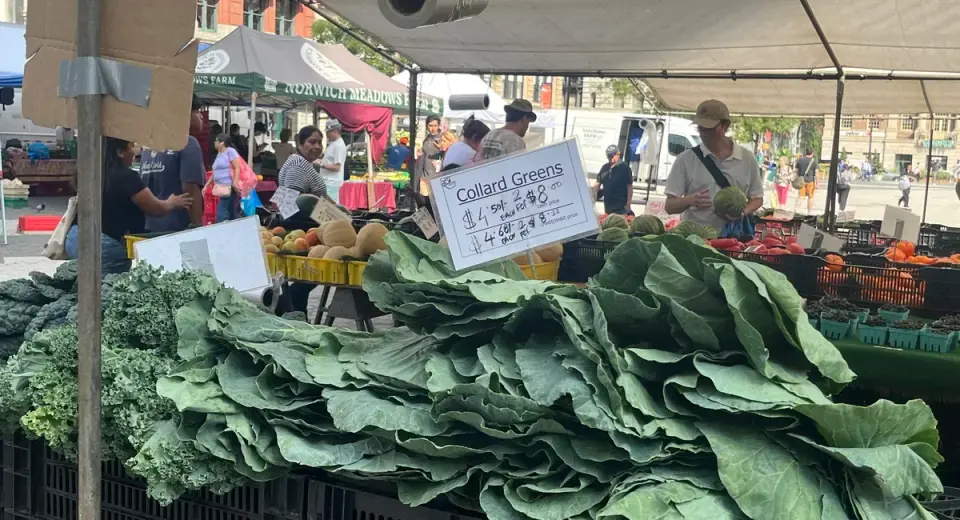 New York’s Cyclosporia Surge: Uncertainty Drives Local Produce Shift