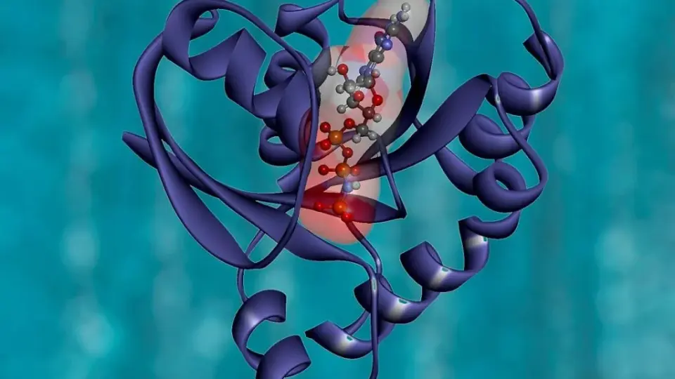 Incyte’s KRAS G12D Drug Shows 81% Response Rate in Pancreatic Cancer Trials