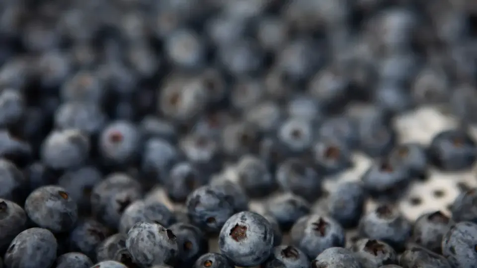 FDA flags frozen GreenWise berries as highest-risk recall amid E. coli concerns