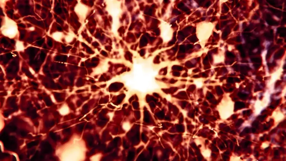 Cancer Drugs Reversing Alzheimer's Brain Changes in Mice Show Promise