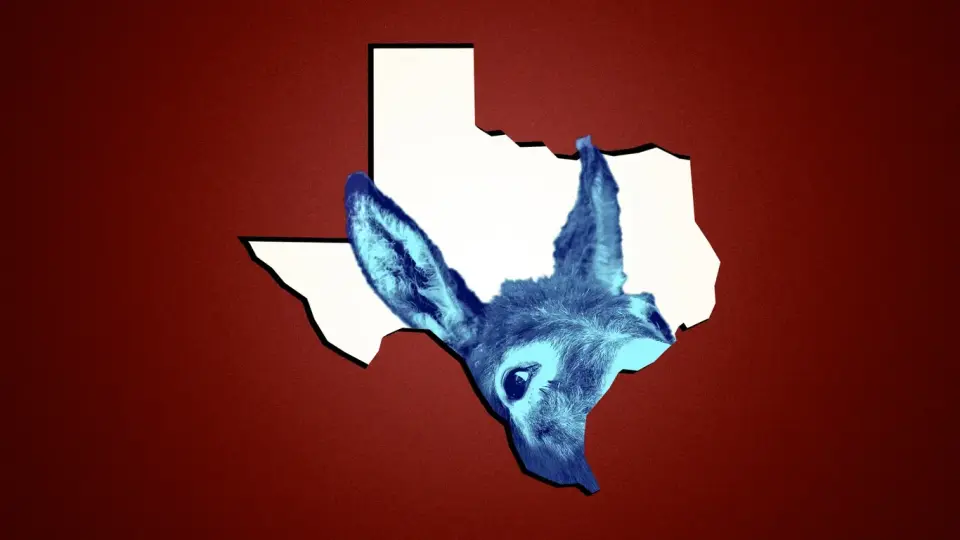 Democrats Bet on Texas Flip to Retake Senate Amid Noisy Polls