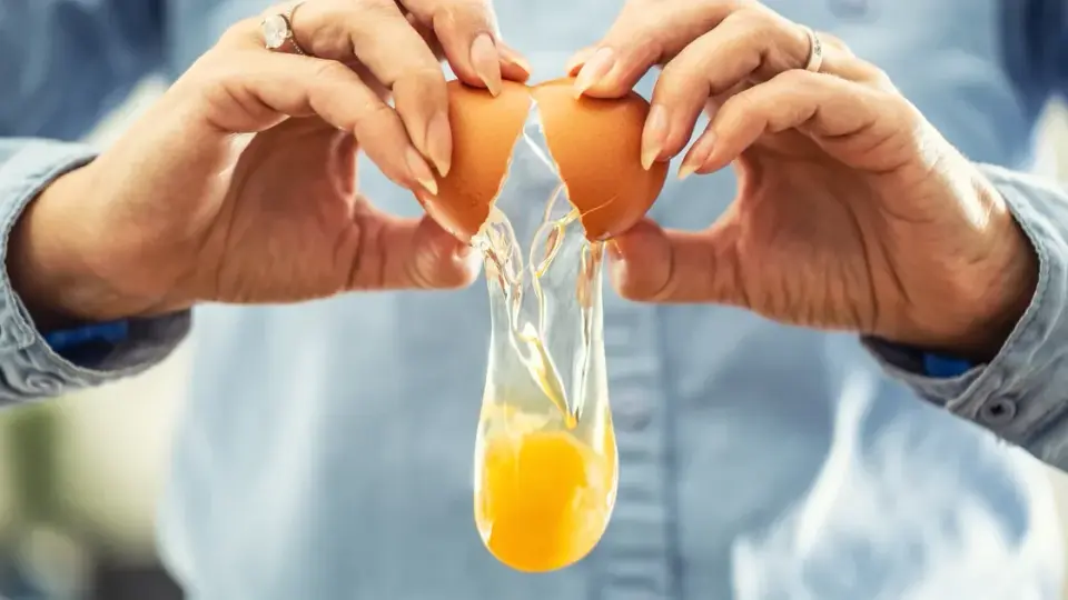 Egg-Protein Alternatives: Foods That Beat an Egg for Protein Power