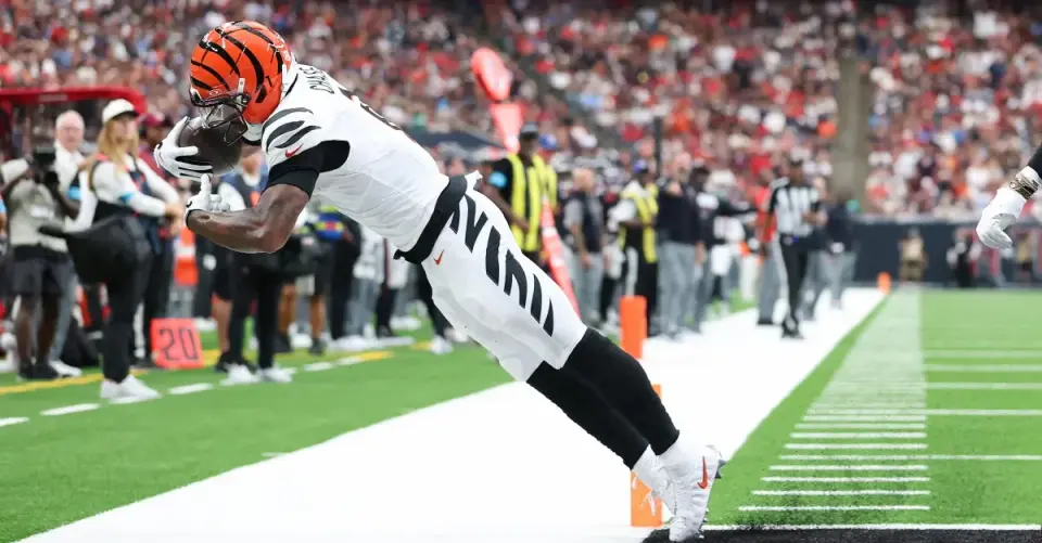Bengals' lockdown defense powers 20-6 win over Texans as Twitter erupts