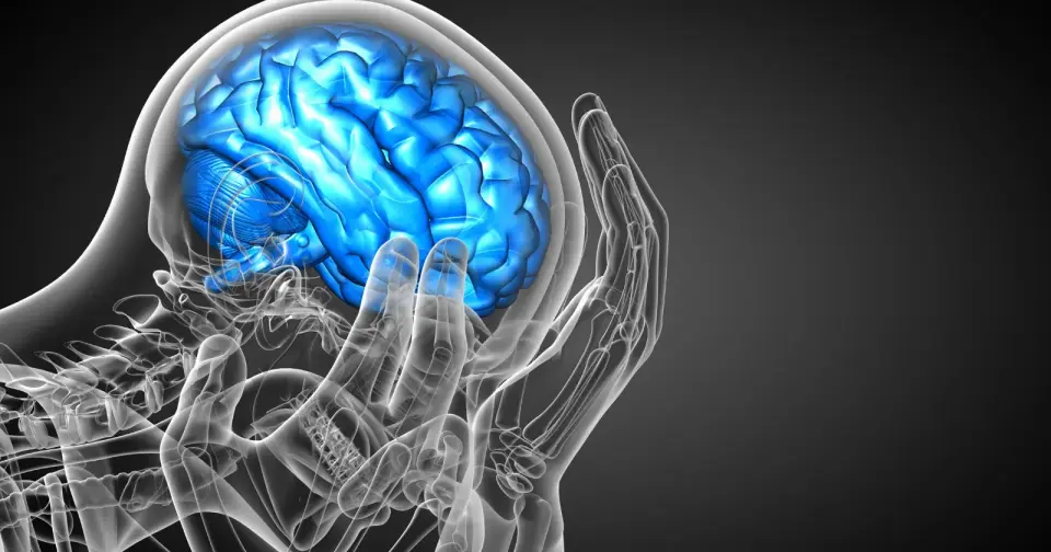 Big Amygdala, Subtle Bias: Brain Structure and Our Reactions to the Unknown