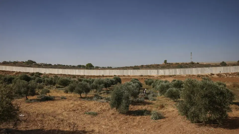 Masked Settlers Assault European Diplomatic Convoy in West Bank