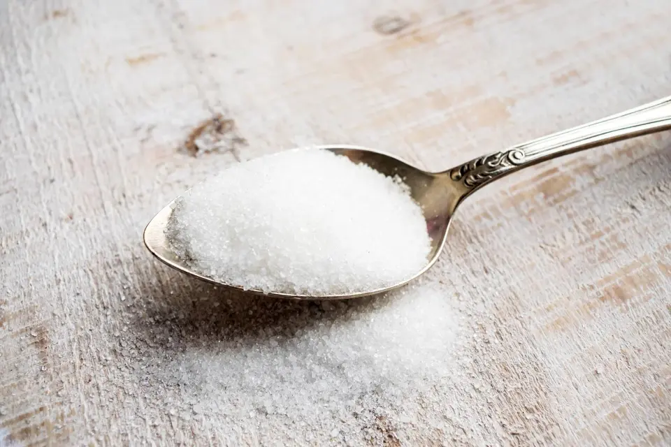 Fructose: Not Just a Calorie, but a Metabolic Trigger Linked to Obesity