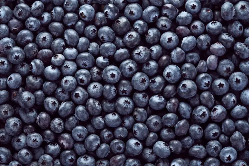 Eight-State Recall: Frozen GreenWise Blueberries Tied to E. coli Cases