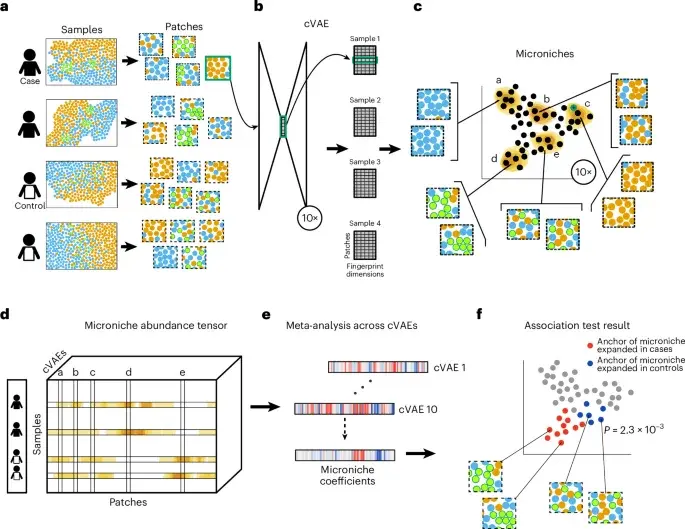 New Deep Learning Method VIMA Identifies Disease-Specific Spatial Patterns in Tissues