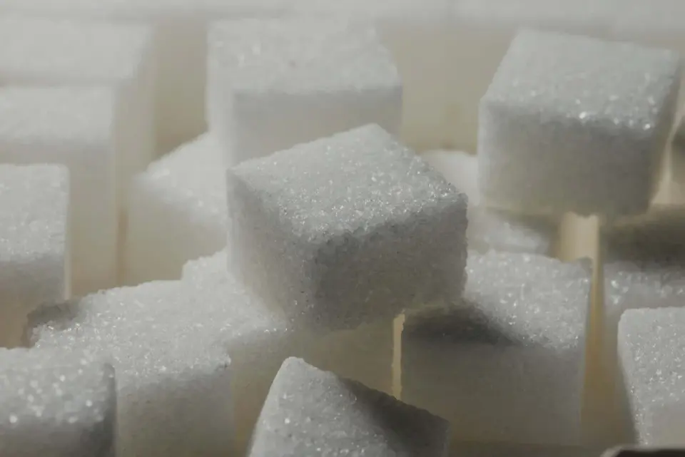 Most sugar substitutes disrupt gut bacteria and trigger surprising drug interactions