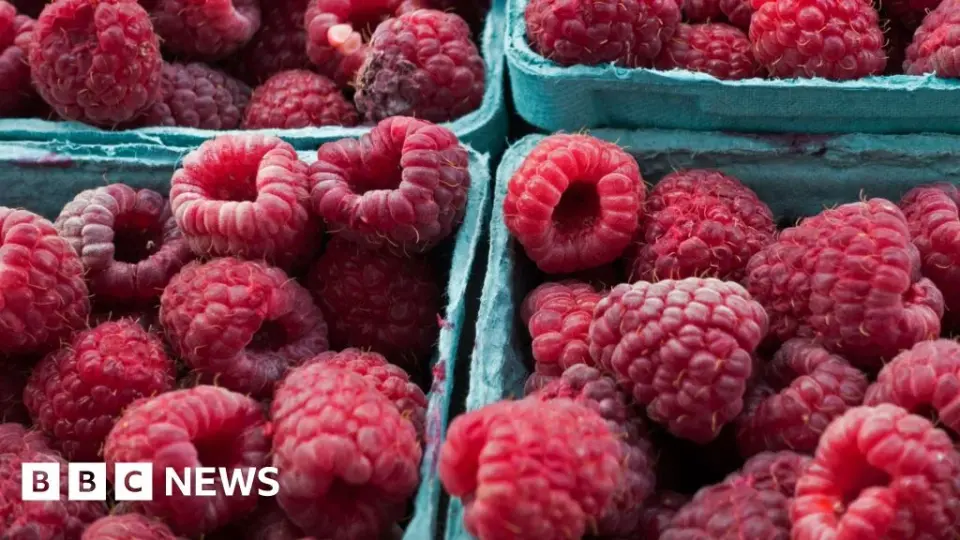 Mystery Cyclospora Outbreak Baffles U.S. Health Officials