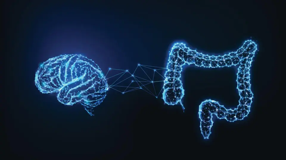 Hidden gut sugars linked to ALS and dementia, opening new therapy paths