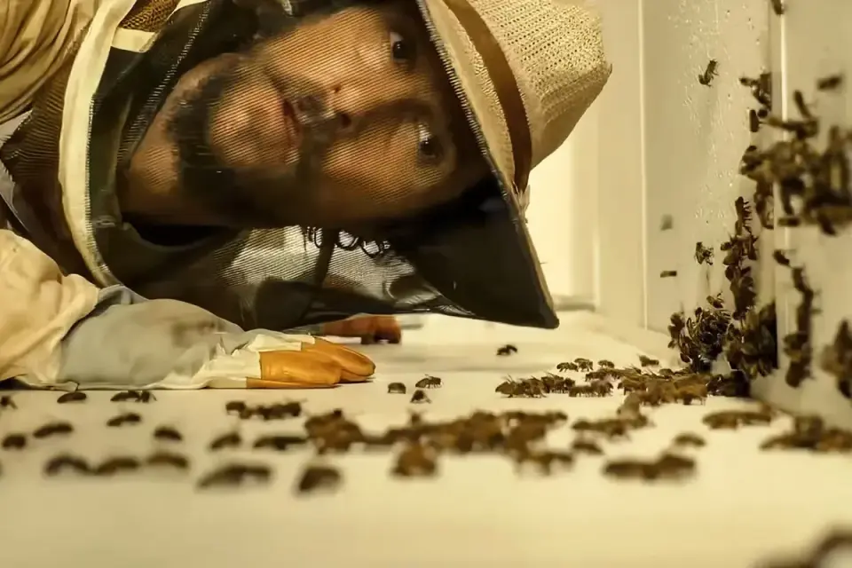 McConaughey’s Oklahoma Beekeeping Drama Defies Genre Conventions