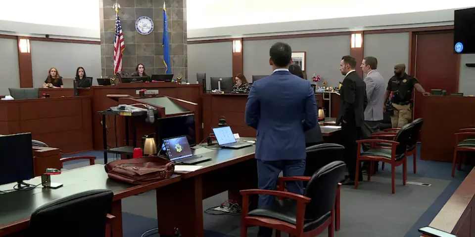 Canadian Man Convicted of Animal Cruelty for Stealing Las Vegas Flamingo