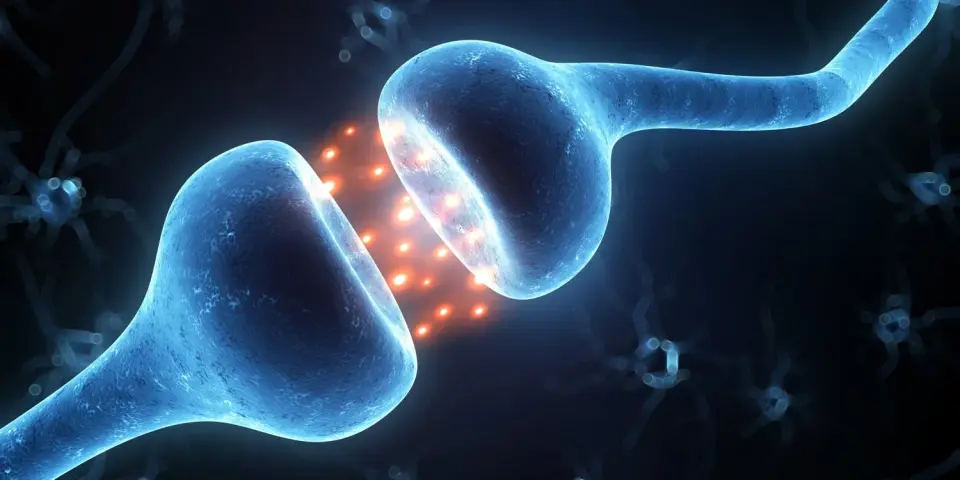 Long COVID linked to dopamine nerve loss in the brain
