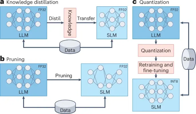 Compact language models push medicine toward scalable AI