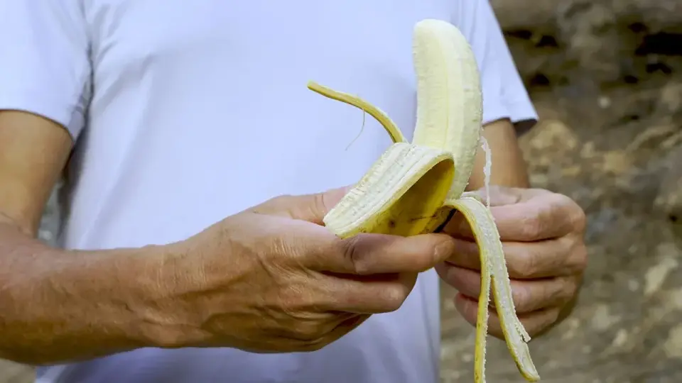 Green Bananas: Why Some Never Ripen and What It Means for Your Health