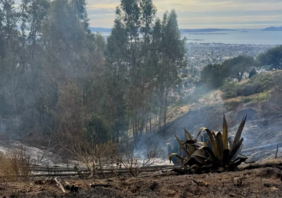 Oakland-Berkeley Hills Fire Damages One Home on 1991 Firestorm Anniversary