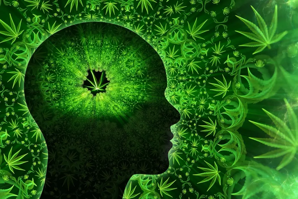 Cannabis May Rewrite Your Memories, Not Just Fog Them
