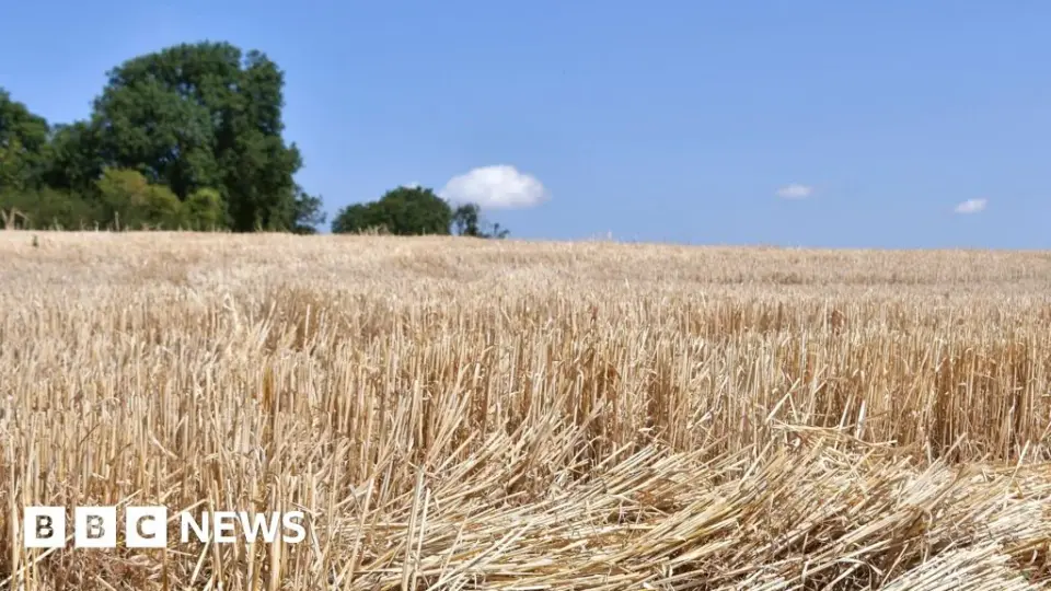 England Declares 'Flash Drought' as July Becomes Driest Month on Record