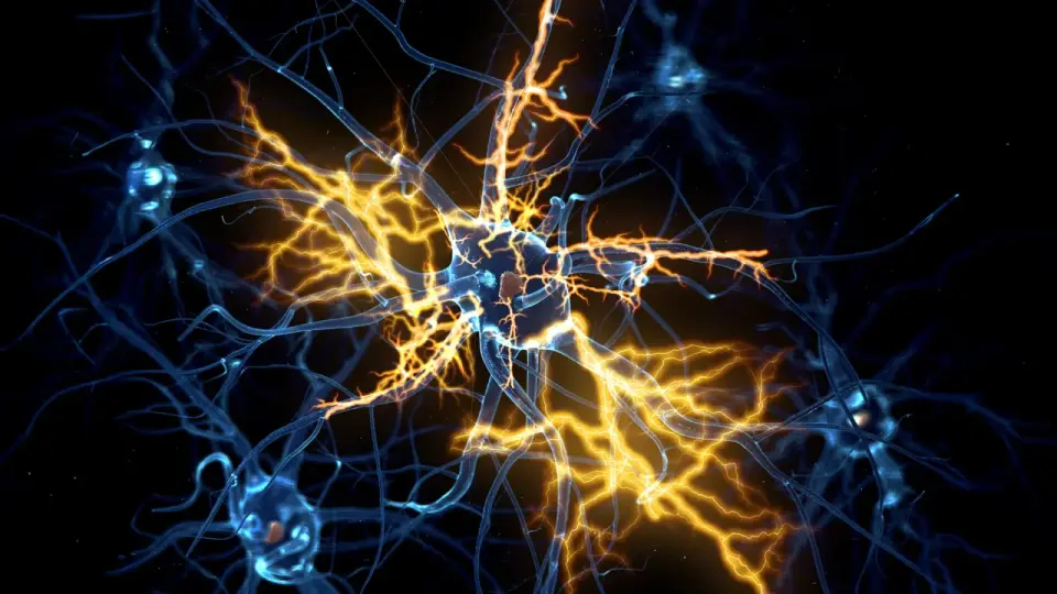 Blocking a cellular brake unlocks nerve regeneration after injury
