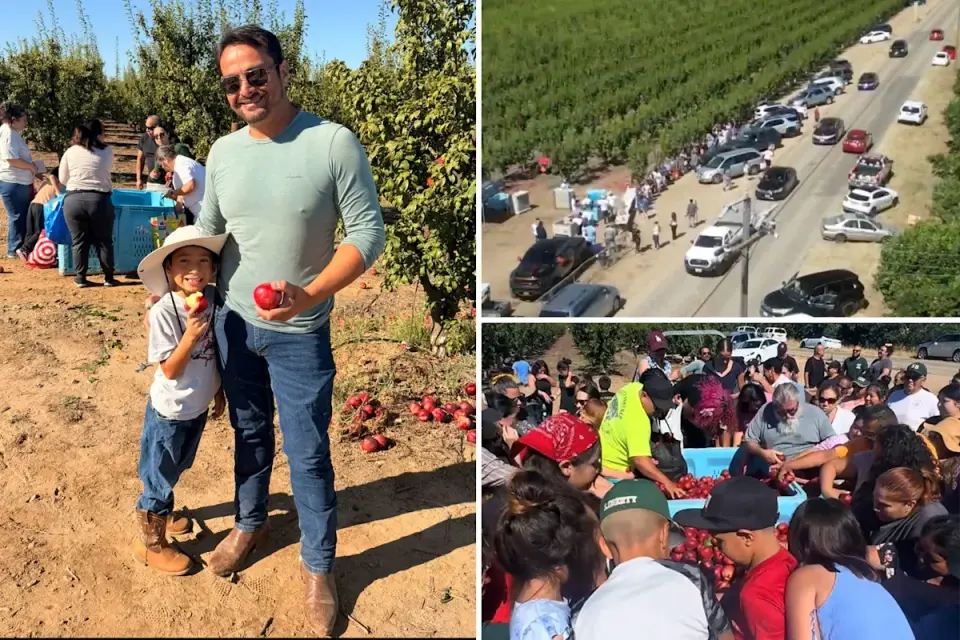 Massive nectarine giveaway halted in California amid ownership fight