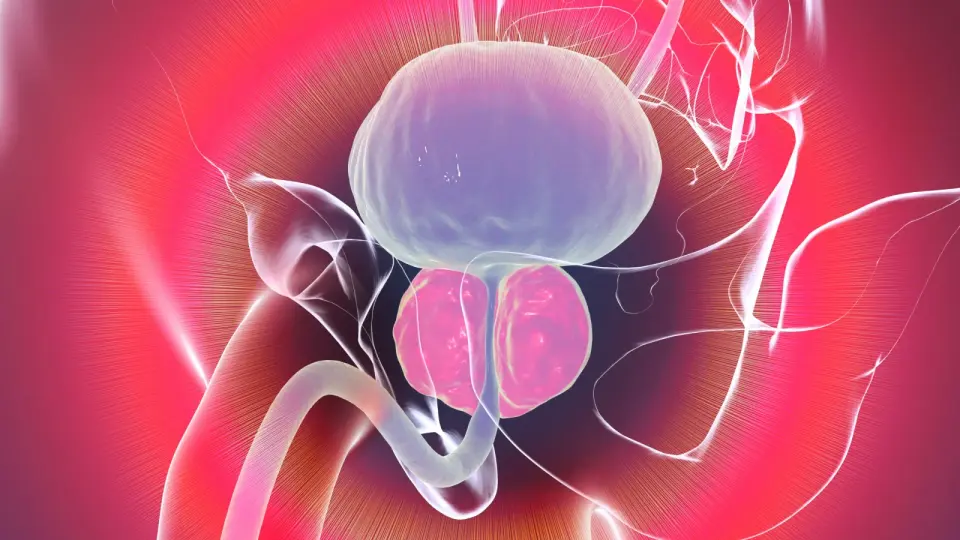 Johns Hopkins Researchers Identify WIF1+ Basal Cells as Potential Driver of Age-Related Prostate Enlargement