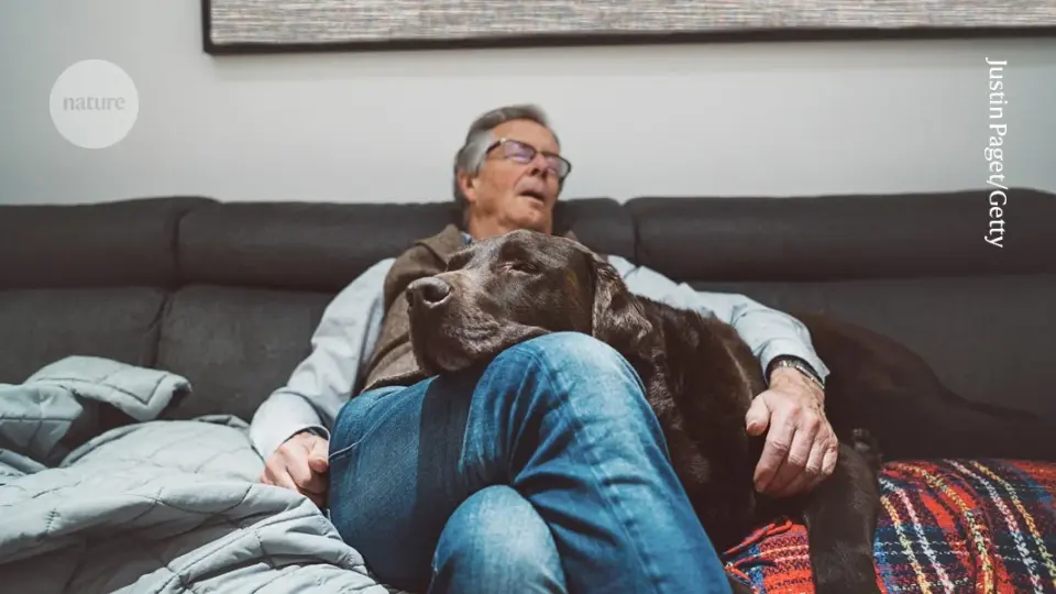 Goldilocks sleep window tied to slower ageing in half a million people