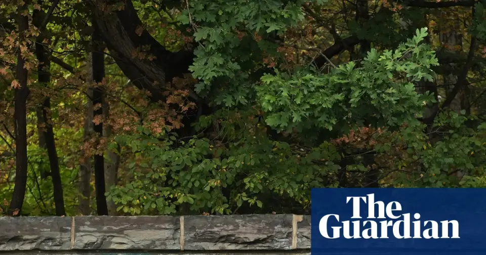Reopened Cornell Probe Hinges on Conflicting Victim Statements and New Text Evidence