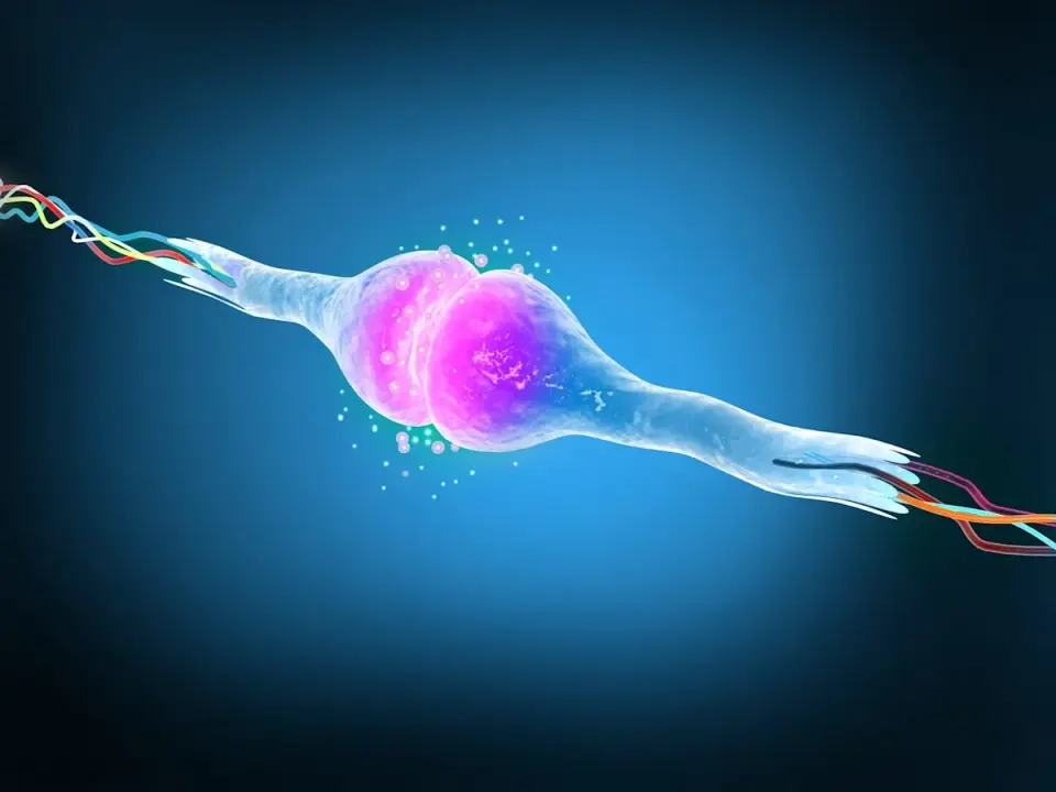 First-in-Human Gene Therapy Aims to Rewind Cellular Aging in Glaucoma