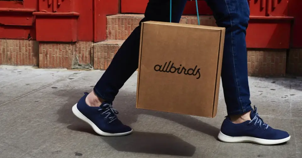 Allbirds trades sneakers for silicon, rebrands as NewBird AI